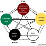 five elements relations